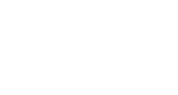 Flow-Consultancy-Logo